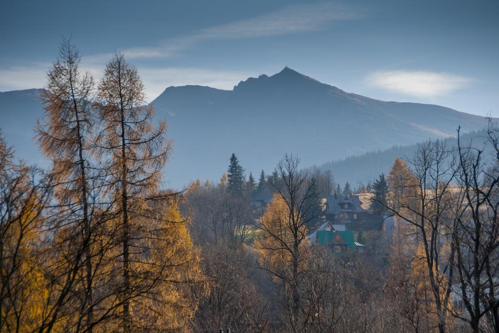 Willa Gardenia Zakopane Quarto foto